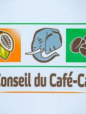 Conseil_Café_Cacao