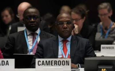 KPMG / FOND MONDIAL Yaoundé